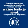 HILL'S PD K/D Kidney + Mobility kuracie - suché krmivo pre mačky - 3 kg