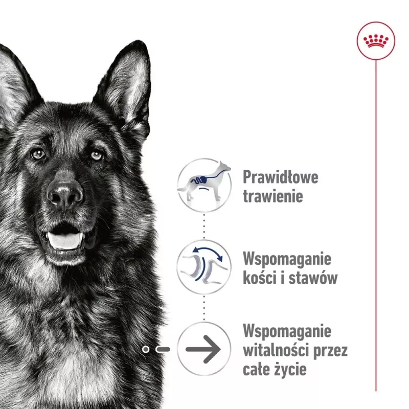 ROYAL CANIN SHN Maxi Ageing konzerva 410 g