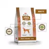 PUPIL Premium hmyz - suché krmivo pre psov - 12 kg