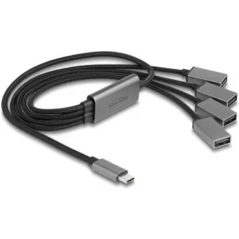 DeLOCK 64210 USB 2.0 Type-C hub 480 Mbit/s čierny sivý