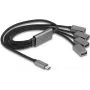 DeLOCK 64210 USB 2.0 Type-C hub 480 Mbit/s čierny sivý