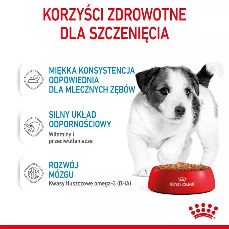 ROYAL CANIN SHN Mini Puppy in Sauce - mokré krmivo pre šteniatka - 12X85g
