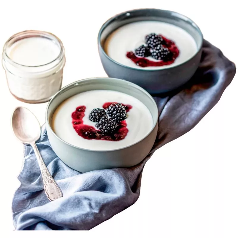 Rommelsbacher JG 80 jogurtovač 1,2 l tvaroh - jogurt 20 W (JG80)
