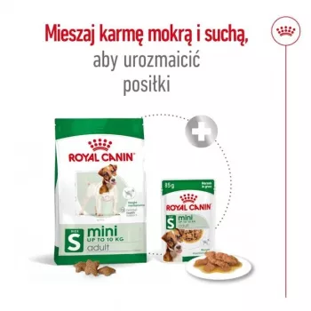 Suché krmivo pre psov Royal Canin Adult Mini S 8 kg — kompletné krmivo pre malých dospelých psov