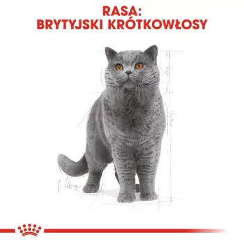 Mokré krmivo pre mačky Royal Canin British Shorthair Adult vrecúško 85 g, hydina, ROYAL CANIN Feline Breed Nutrition