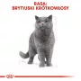 Mokré krmivo pre mačky Royal Canin British Shorthair Adult vrecúško 85 g, hydina, ROYAL CANIN Feline Breed Nutrition