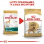 ROYAL CANIN BHN Golden Retriever suché krmivo pre psov - 12 kg