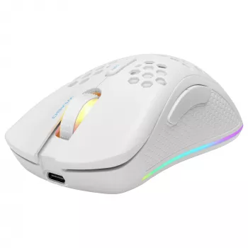 Herná myš Deltaco GAM-120-W RF bezdrôtová USB Type-C
