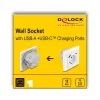 DeLOCK 11499 zásuvka typ F s USB-A a USB-C biela