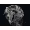Puzzle schmidt spiele Ashley Rader Power Horse — 1000 dielikov, MPN 58543