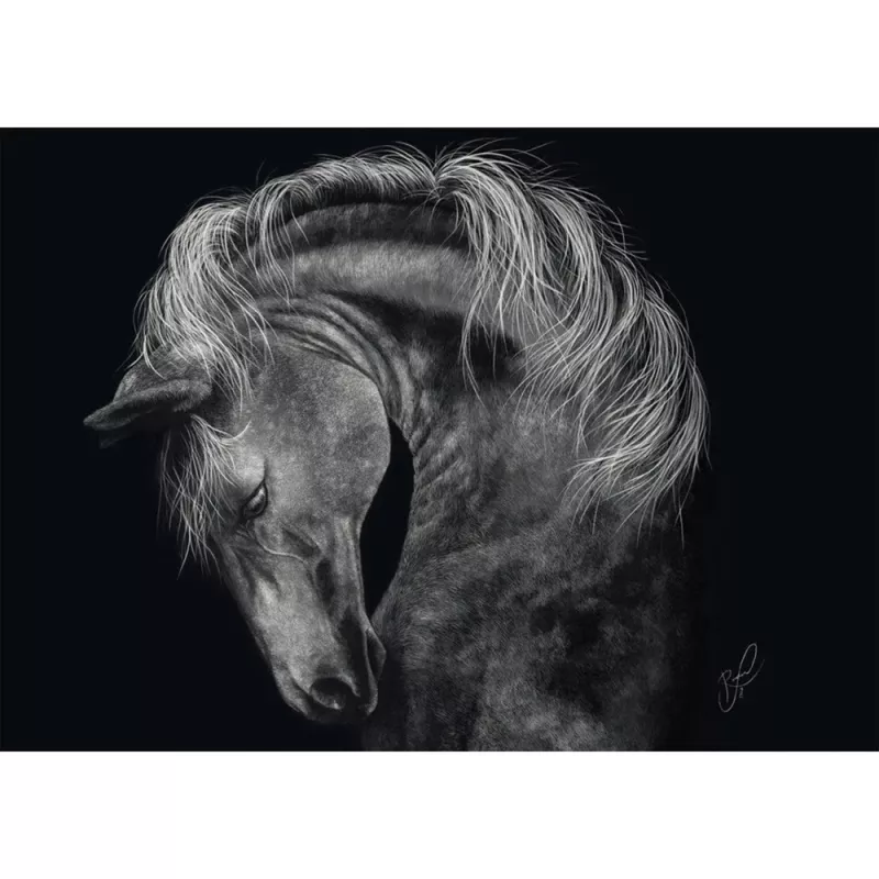 Puzzle schmidt spiele Ashley Rader Power Horse — 1000 dielikov, MPN 58543