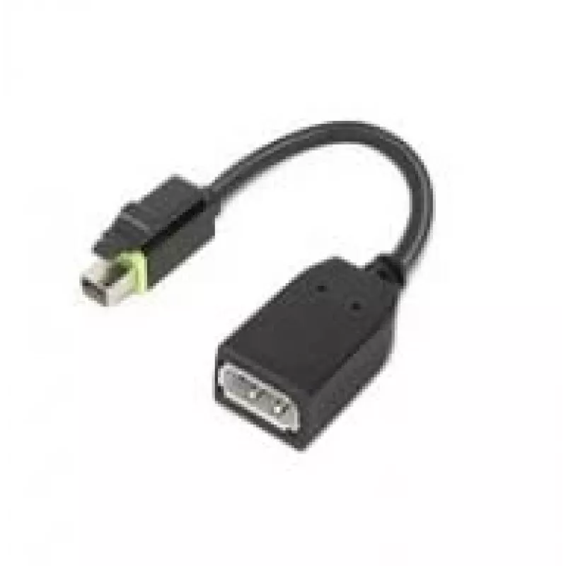 Lenovo 4X90Q93975 video kábel adaptér Mini DisplayPort DisplayPort čierny