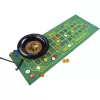 Deluxe-Set - ruleta 25 cm, stolová hra