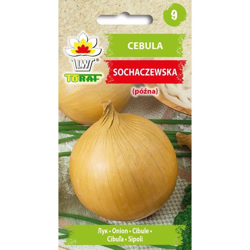 Sochaczew cibuľa Toraf semená zeleniny, 5 g balenie