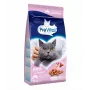 PREVITAL Senior s lososom suché krmivo pre mačky, 1,4 kg