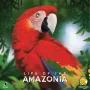 Life of the Amazonia, spoločenská hra