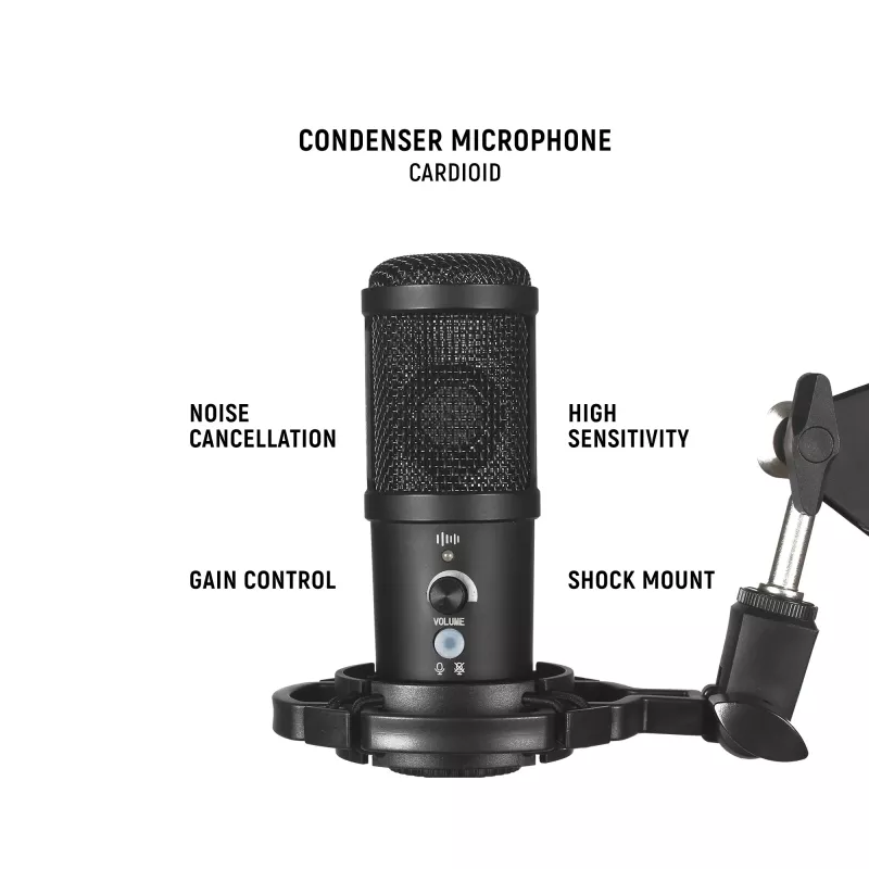 Štúdiový mikrofón Easypix 62021 čierny