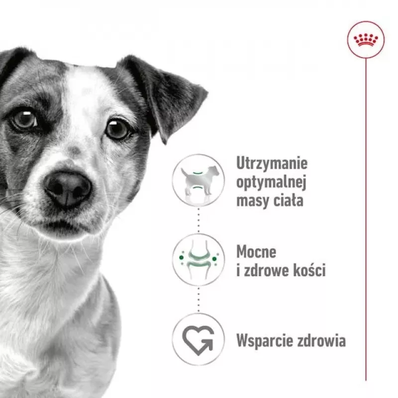 ROYAL CANIN Adult Mini S - suché krmivo pre psov - 4 kg