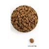 ACANA Adult Large Breed – suché krmivo pre psov – 11,4 kg