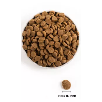 ACANA Adult Large Breed – suché krmivo pre psov – 11,4 kg