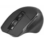 Myš Tracer Cozy pravá ruka RF Wireless optická 1600 DPI
