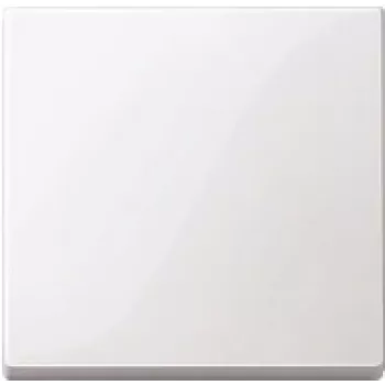 Nástenná doska / kryt vypínača Merten 432125, biela, termoplast