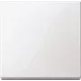 Nástenná doska / kryt vypínača Merten 432125, biela, termoplast