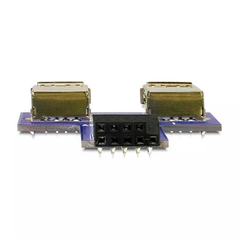 DeLOCK 9-pólový 2,54 mm 2 x USB 2.0 1 x 9-pólový 2,54 mm čierna modrá strieborná