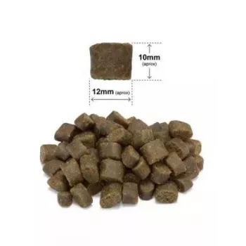 ARQUIVET čerstvý losos s morčacím - polovlhké krmivo pre psov - 2,5 kg