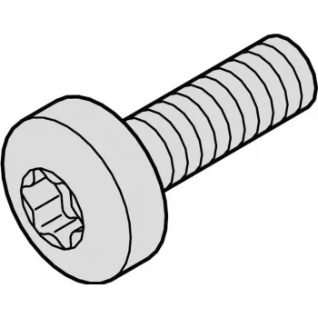 SCHROFF skrutka Torx COL.M2,5X12,3 100X - príslušenstvo do racku (21101783)