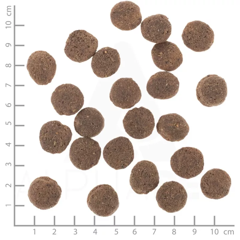 WOLFSBLUT VetLine Hypoallergen konské so sladkými zemiakmi - suché krmivo pre psov - 2 kg