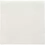 PAPSTAR obrúsky Daily Collection biele 2-vrstvové 16,0 x 16,0 cm 150 ks (89636)