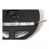 Synergy 21 LED Flex Strip 3528 - 120 DW (CCT) DC12V 48W pro farba IP20