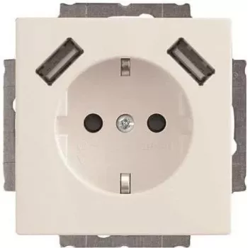 Busch-Jaeger SCHUKO-2x USB zásuvka 20 EUCB2USB-84 (2CKA002011A6273)