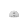 Myš White Shark GM-5014 Graphene biela USB