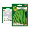 Nomad Green Dwarf fazuľové semená, 50g - zeleninové semená