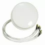 ALLNET anténa 2,4/5 GHz 4 dBi DualBand Spatial Diversity MIMO stropná anténa HG2458-4SDC-RSP