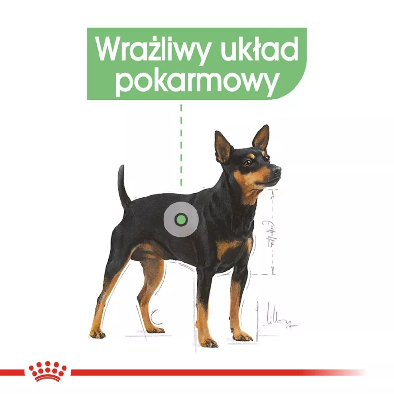 Suché krmivo pre psy Royal Canin Mini Digestive Care 3 kg — malé plemená, hydina, dospelé, podpora trávenia