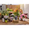 Gardena AquaBloom hadica 20m čierna 13301-20