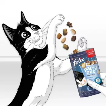 Mačacie maškrty Felix Party Mix Dairy Delight 60 g – chrumkavé maškrty s mliečnou príchuťou pre dospelé mačky, bielkoviny 35 %, tuky 19,5 %