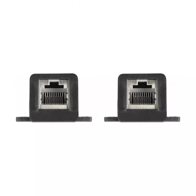 DeLOCK RJ45 FPC priechodka cez okno 30 cm 87031
