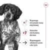 ROYAL CANIN SHN Medium Ageing konzerva 410 g