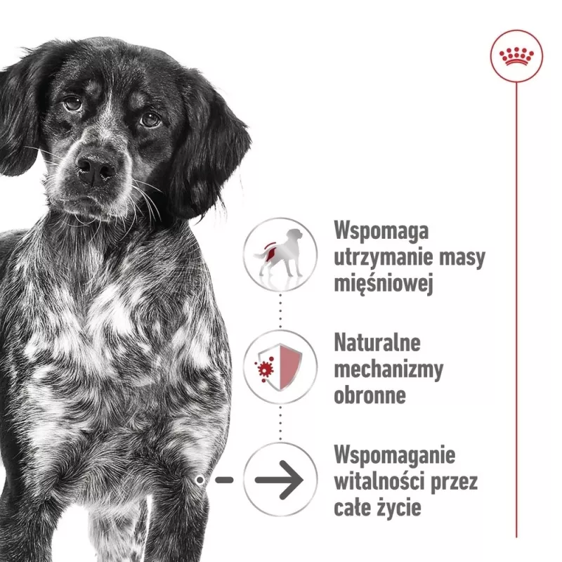 ROYAL CANIN SHN Medium Ageing konzerva 410 g