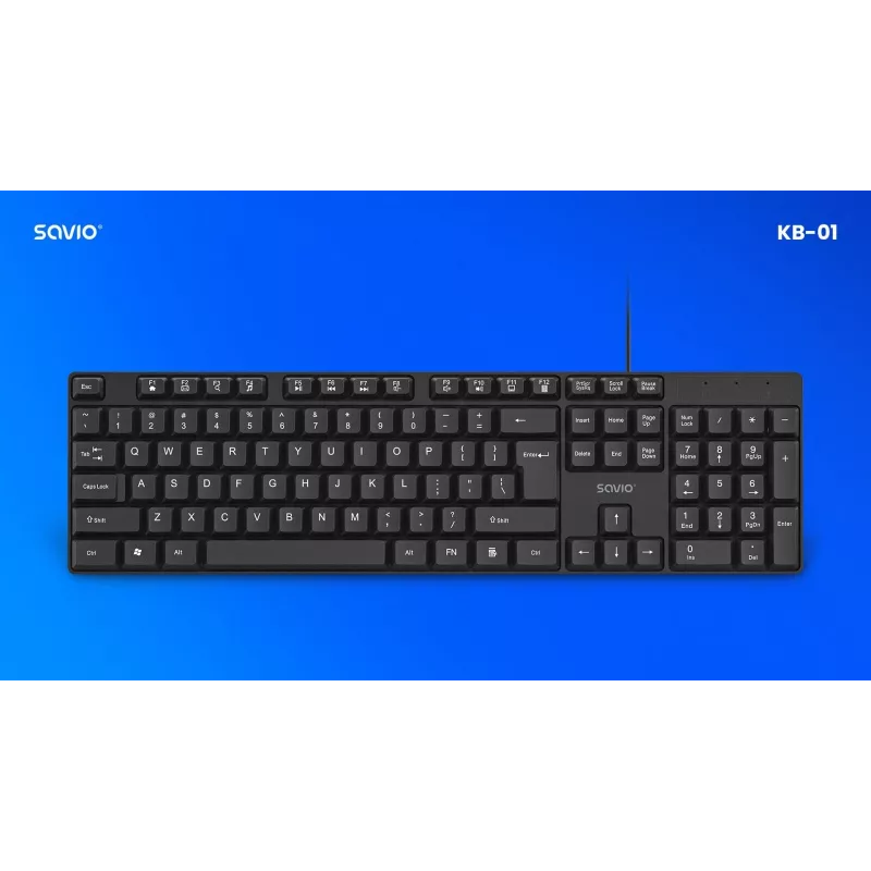 Savio KB-01 klávesnica Home/Office USB QWERTY US angličtina čierna