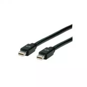 ROLINE DisplayPort kábel, Mini DP ST – Mini DP ST 2,0 m (11.04.5640)