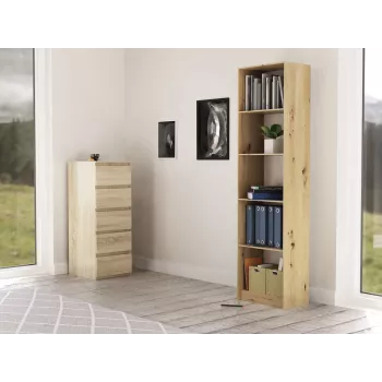 Knižnica Top e shop R50 ARTISAN — dubový dekor, 5 políc, rám z drevotriesky