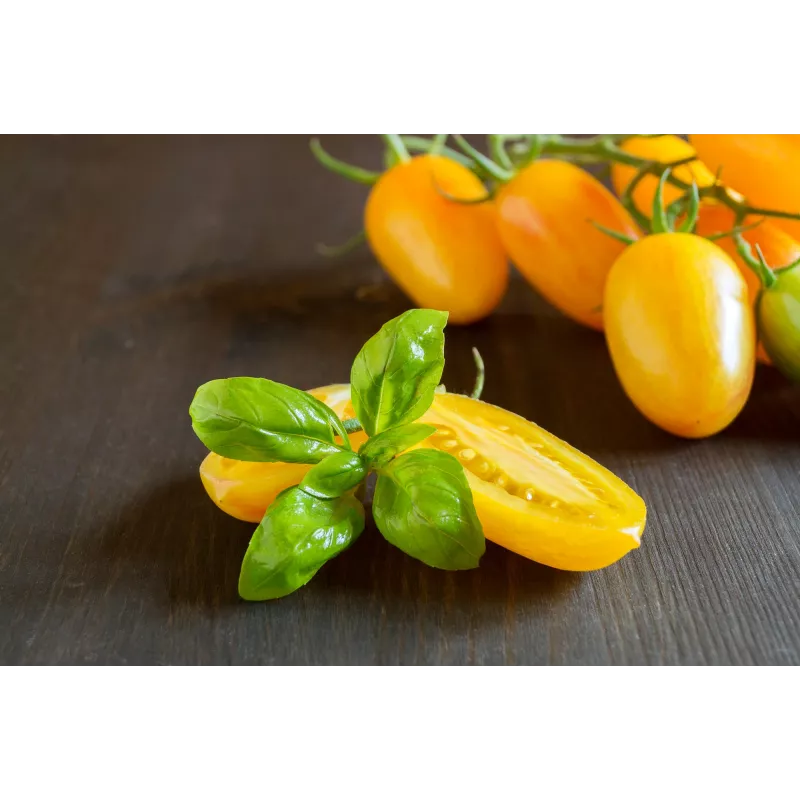 Cherry paradajka Perun Toraf semená zeleniny, 0,5 g balenie