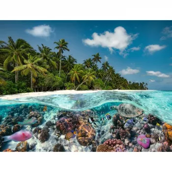 Puzzle Ein Dive in the Maldives (2000 dielikov)