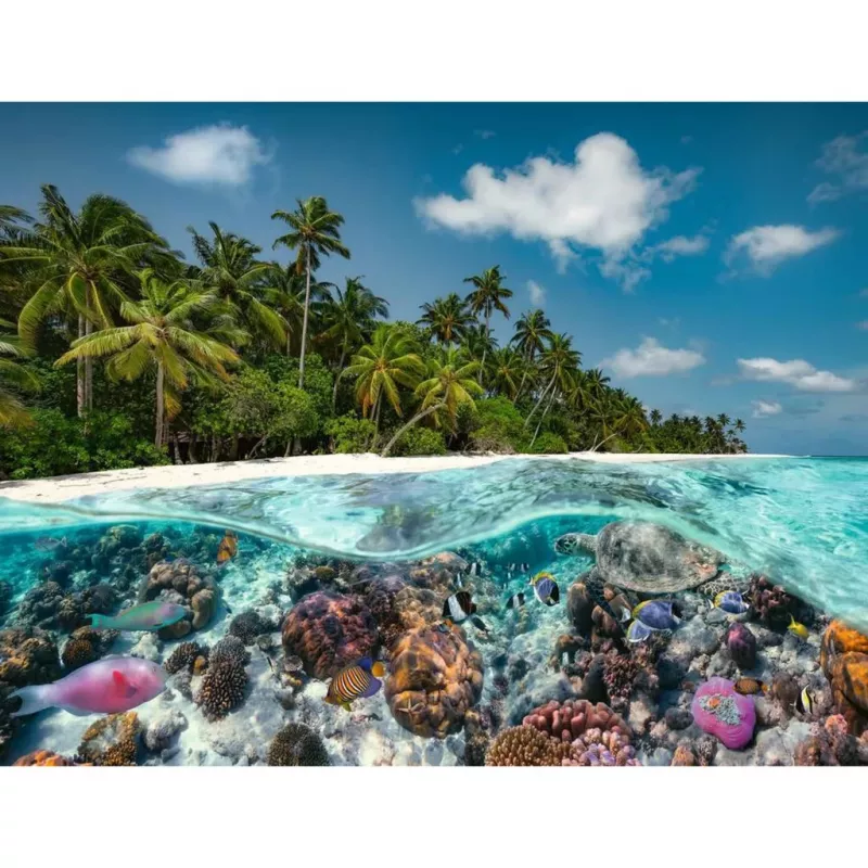 Puzzle Ein Dive in the Maldives (2000 dielikov)
