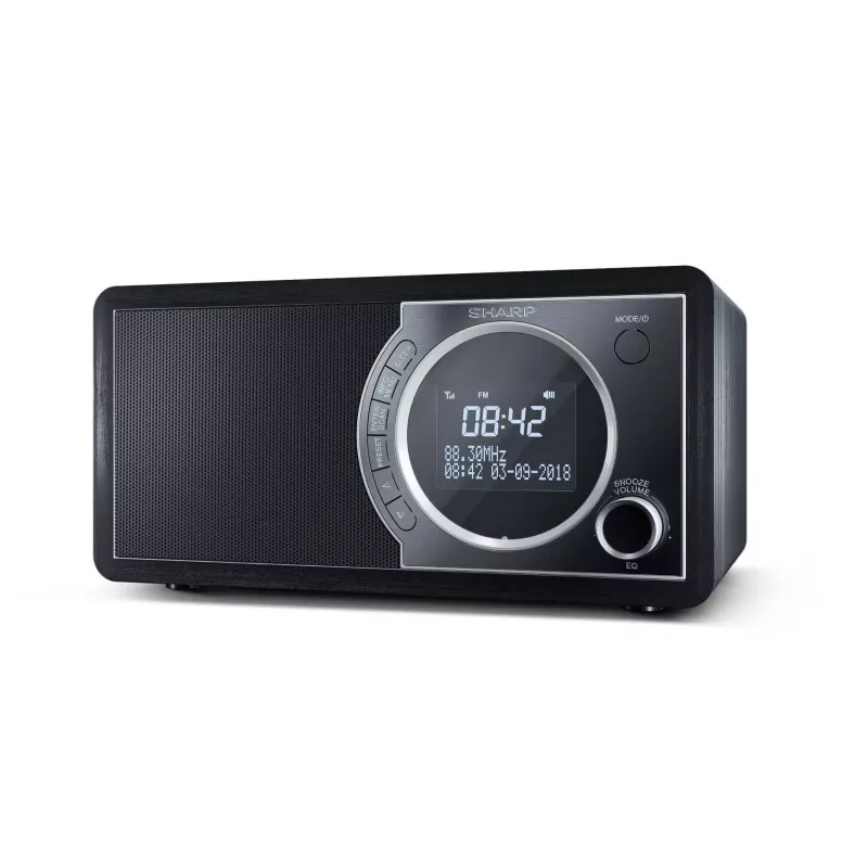 Sharp DR-450 digitálne rádio – čierna, osobné, digitálne, DAB, DAB+, FM, 87,5 – 108 MHz, 174,928 – 239,2 MHz, 3 W